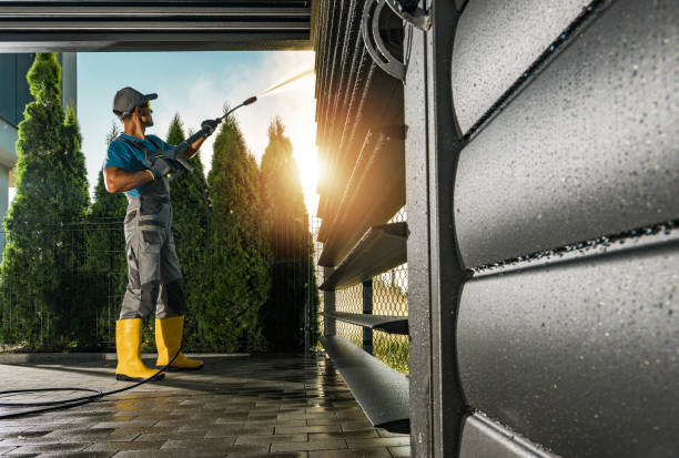 Best Window Cleaning in Albany, CA