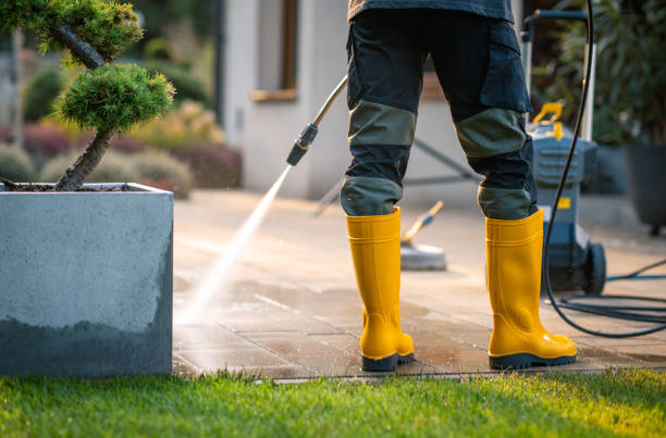 Best Gutter Cleaning in Albany, CA